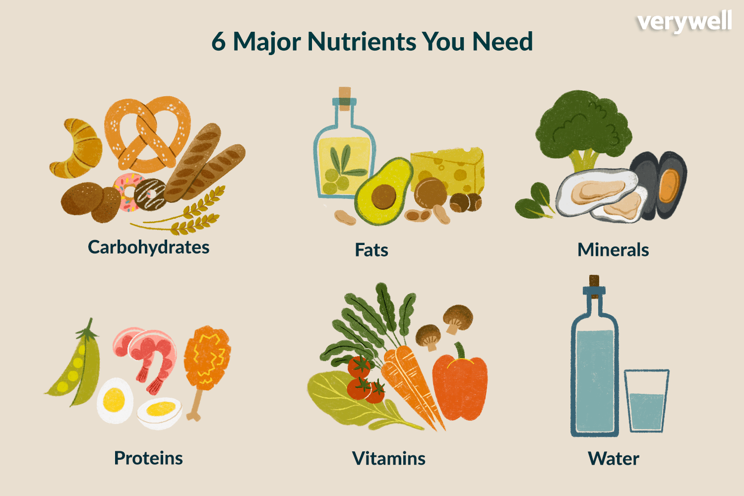 6 Essential Nutrients and Why Your Body Needs Them